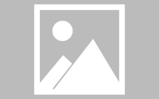福鼎网页设计师周记（网页设计周记26篇300字）