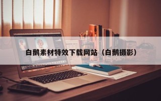 福鼎白鹅素材特效下载网站（白鹅摄影）